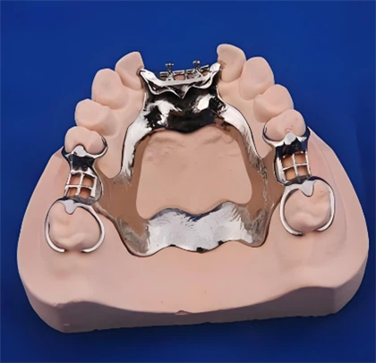 người giữ răng giả đầy đủ